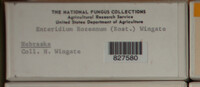 Image Associated With the Occurence